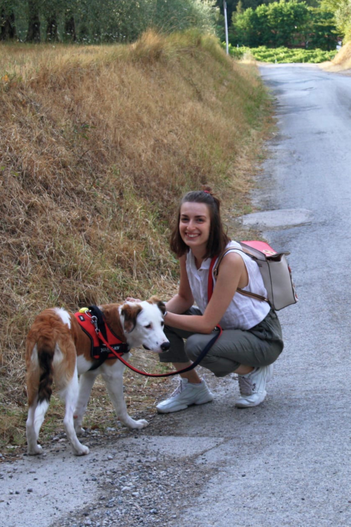 9651421a-50ba-4997-98fa-c4a29f3af166