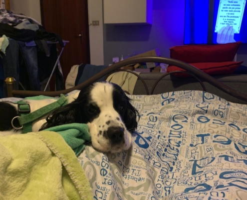 PHOTO-2025-07-31-21-10-03 (1)