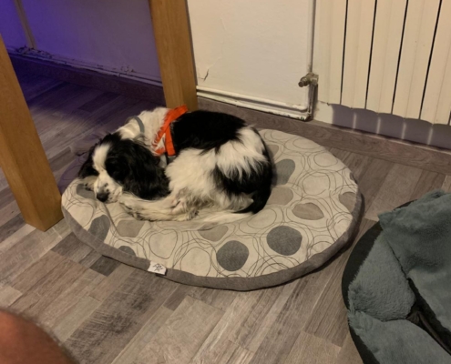 PHOTO-2025-07-31-21-10-03 (10)