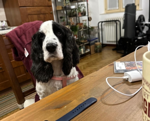 PHOTO-2025-07-31-21-10-03 (12)