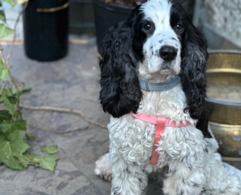 PHOTO-2025-07-31-21-10-03 (13)