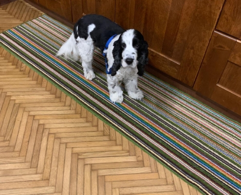 PHOTO-2025-07-31-21-10-03 (14)