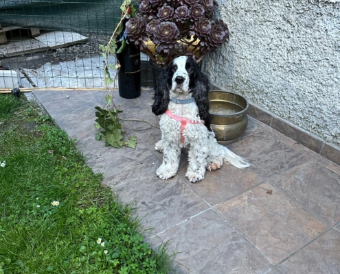 PHOTO-2025-07-31-21-10-03 (15)