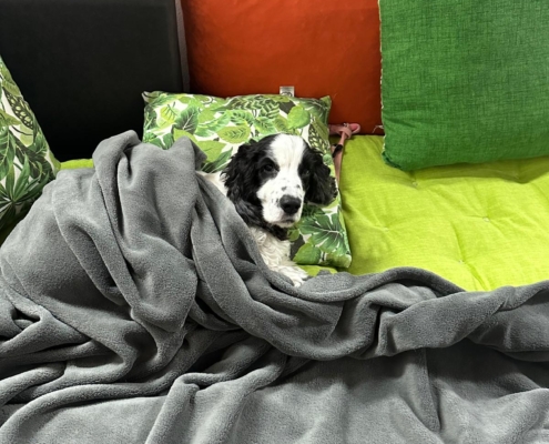 PHOTO-2025-07-31-21-10-03 (16)