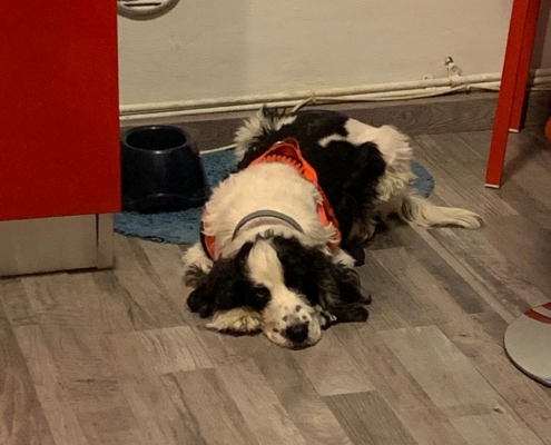 PHOTO-2025-07-31-21-10-03 (3)