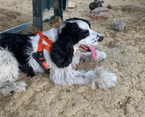 PHOTO-2025-07-31-21-10-03 (4)