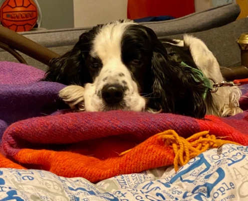 PHOTO-2025-07-31-21-10-03