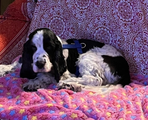 PHOTO-2025-07-31-21-10-03 (5)