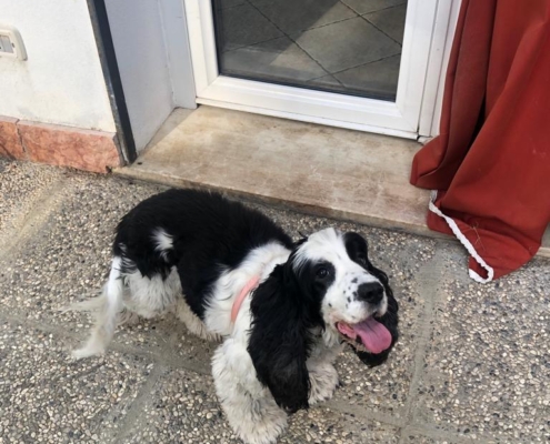 PHOTO-2025-07-31-21-10-03 (6)