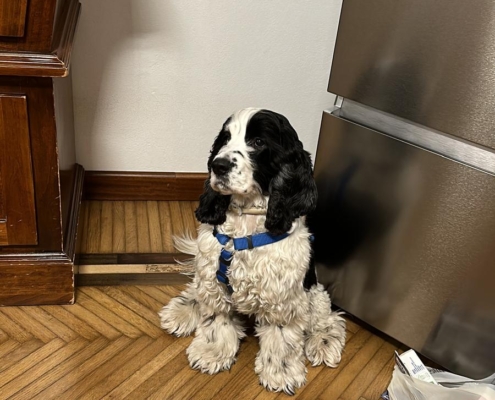 PHOTO-2025-07-31-21-10-03 (8)