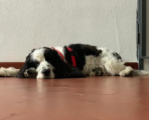 PHOTO-2025-07-31-21-10-03 (9)