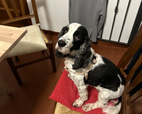 PHOTO-2025-07-31-21-10-04 (1)