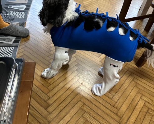 PHOTO-2025-07-31-21-10-04 (2)