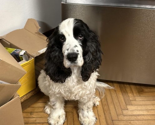 PHOTO-2025-07-31-21-10-04 (3)