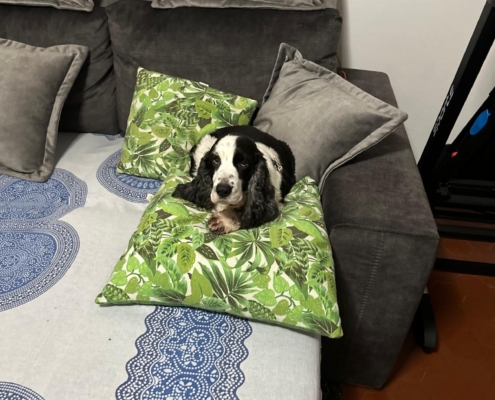 PHOTO-2025-07-31-21-10-04 (4)