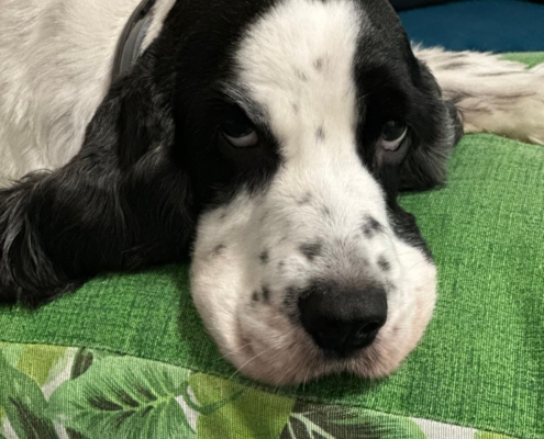 PHOTO-2025-07-31-21-10-04 (5)