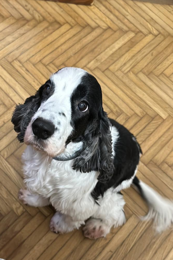 PHOTO-2025-07-31-21-10-04 (8)